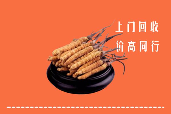 收购行情：玉龙县冬虫夏草回收多少钱每克